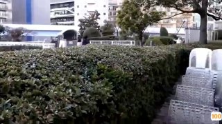 几月几号丧尸爆发主动露脸的母狗，帮我口交，爆操内射特写